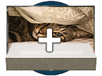 Laser TV Bundles kaufen