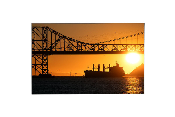 celexon CLR UST Kontrastleinwand II 265 x 149cm - 120" SlimLine Rahmenleinwand