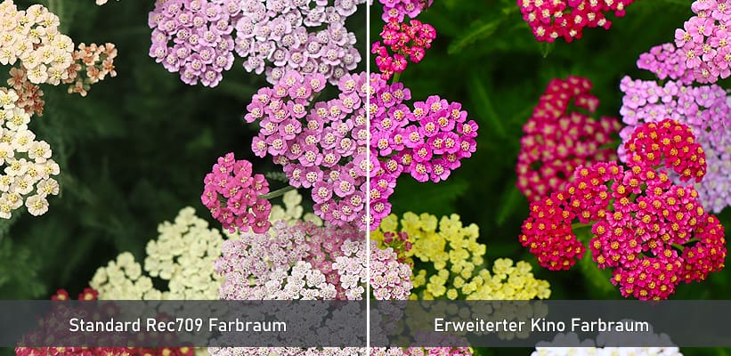 BenQ TK860i Farbraum Bildvorteil Direktvergleich