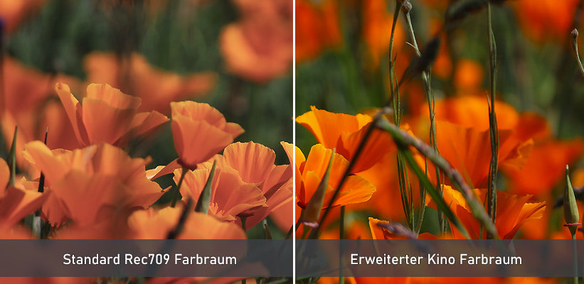 LG Adagio2.0 Farbraum Direktvergleich Test