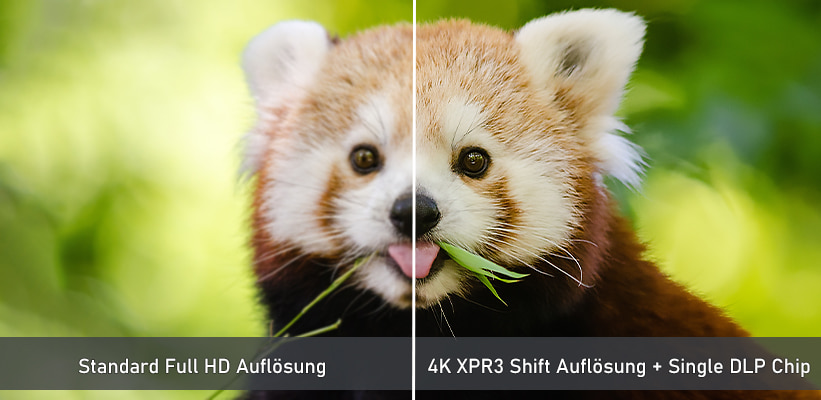 ViewSonic X2-4K Bildvorteil