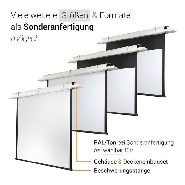 Celexon Deckeneinbau Leinwand Motor Expert 220 x 124 cm