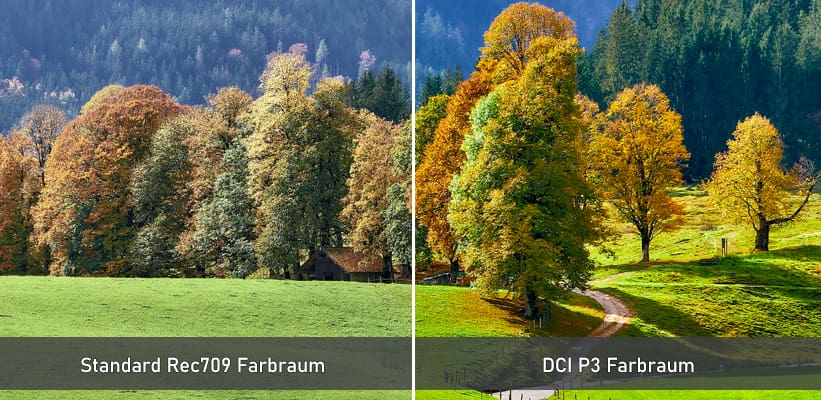 Sony XW7000ES Schwarz Farbraum Direktvergleich