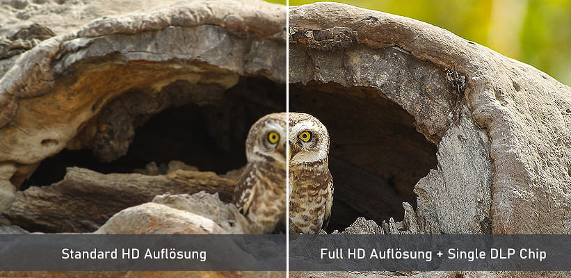 ViewSonic X1 Full HD Bildvorteil